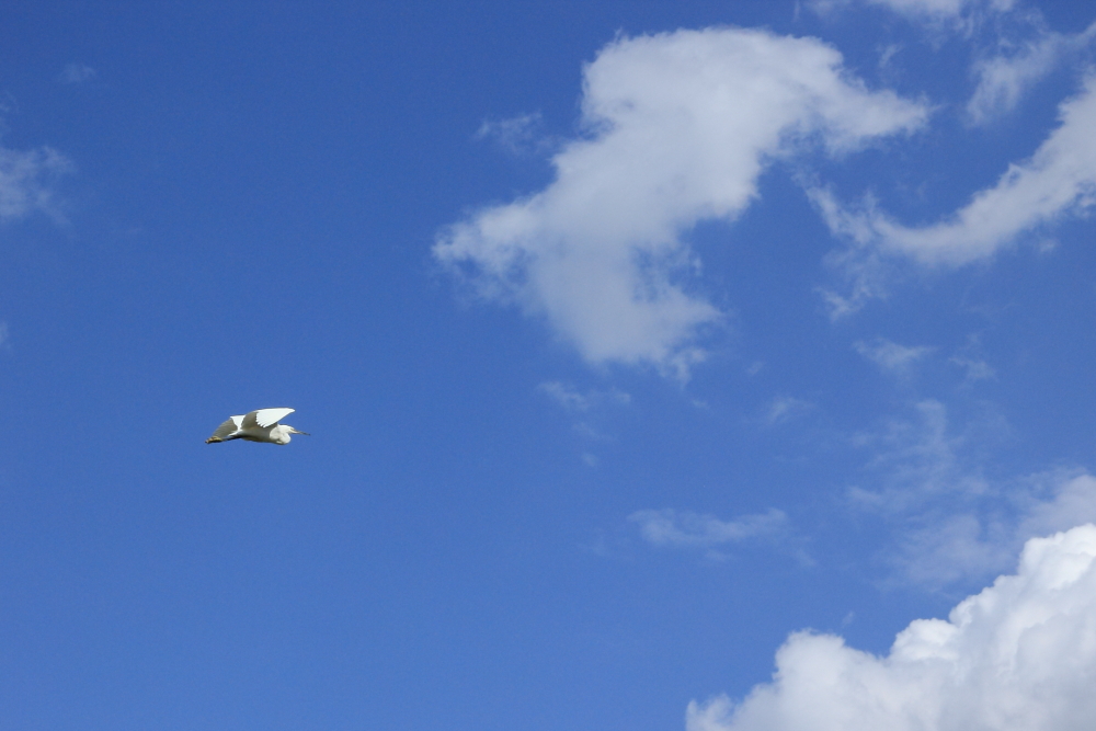 大空へ