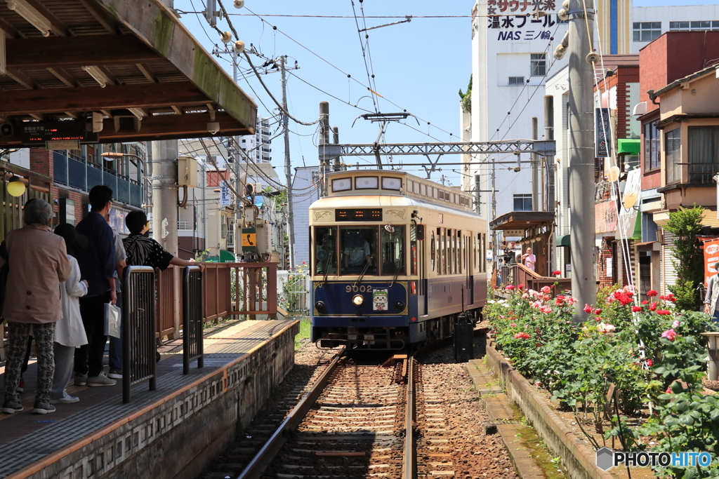 東京さくらトラム（都電荒川線）