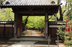 門