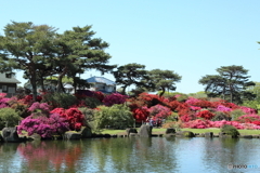 つつじが丘公園