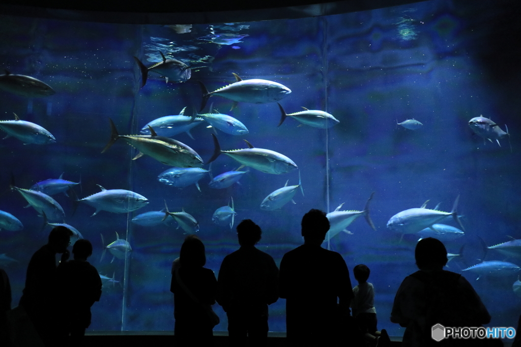 葛西臨海水族園