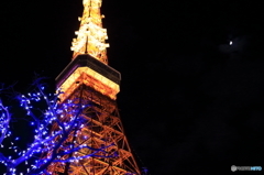 月と東京タワー