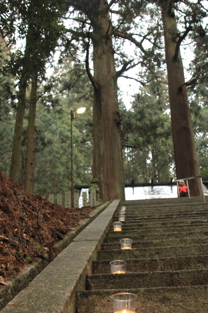 夫婦杉への石段