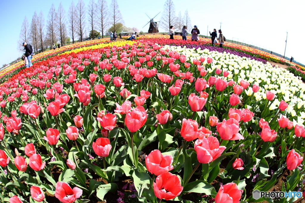 あけぼの山農業公園