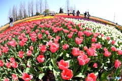 あけぼの山農業公園