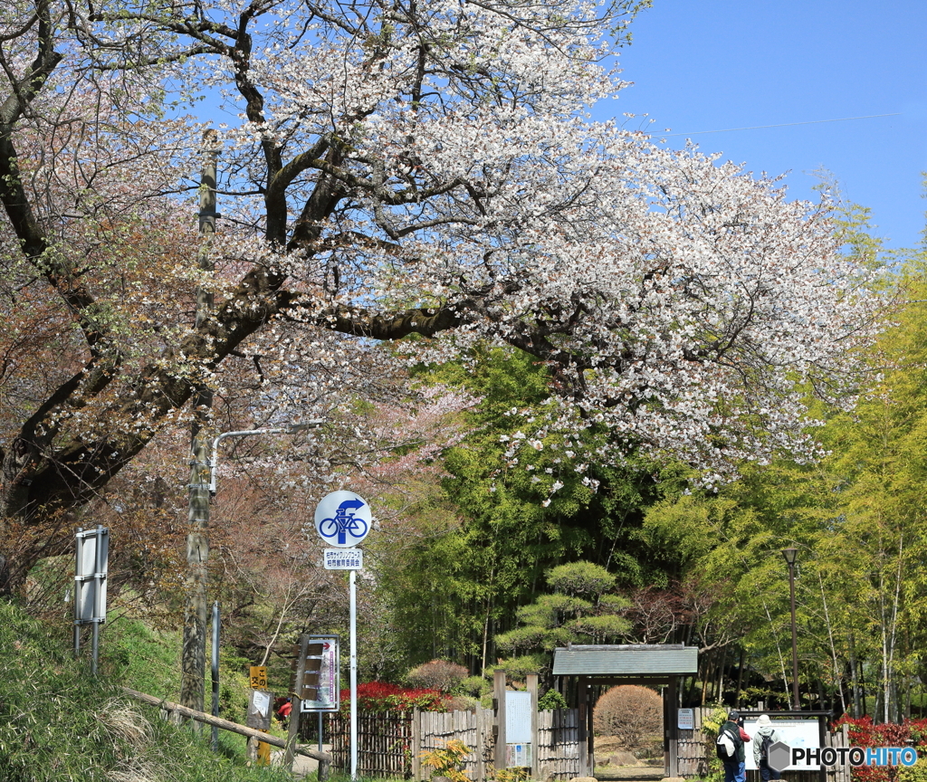 あけぼの山農業公園