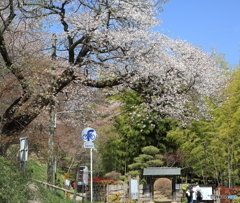 あけぼの山農業公園