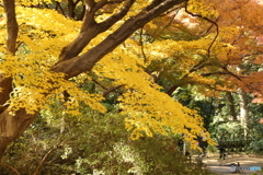 六義園