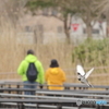 鳥の休日