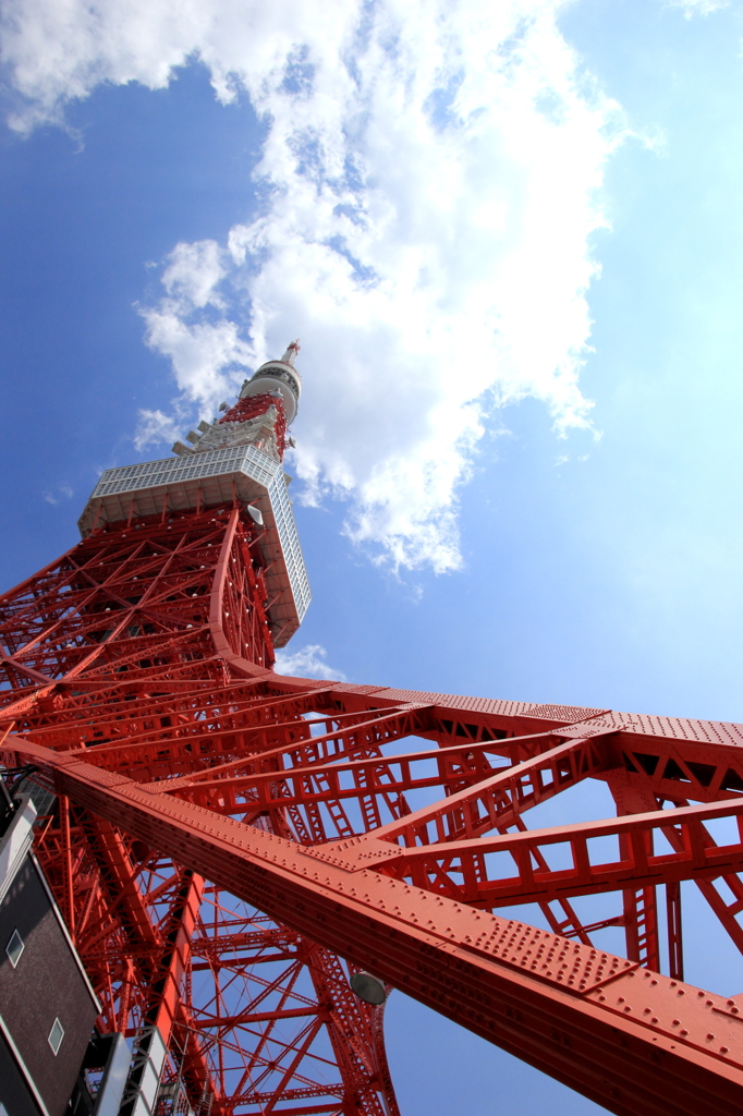 東京タワー　見上げてみたら・・・