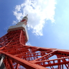 東京タワー　見上げてみたら・・・