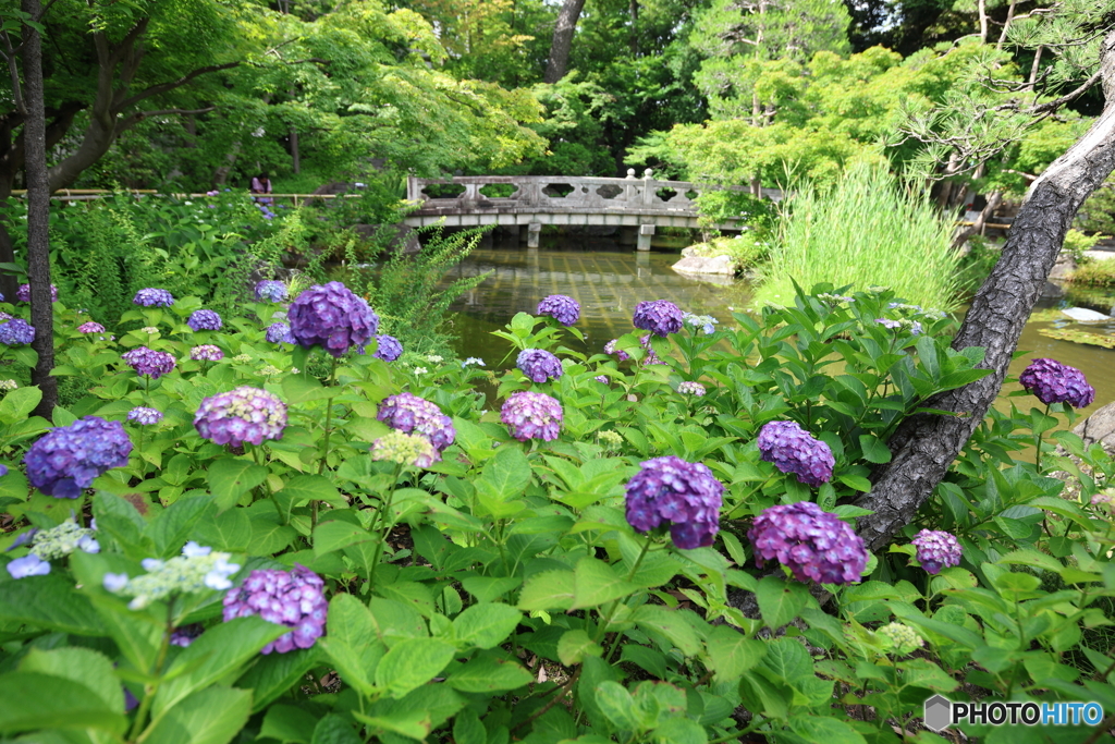 西新井大師