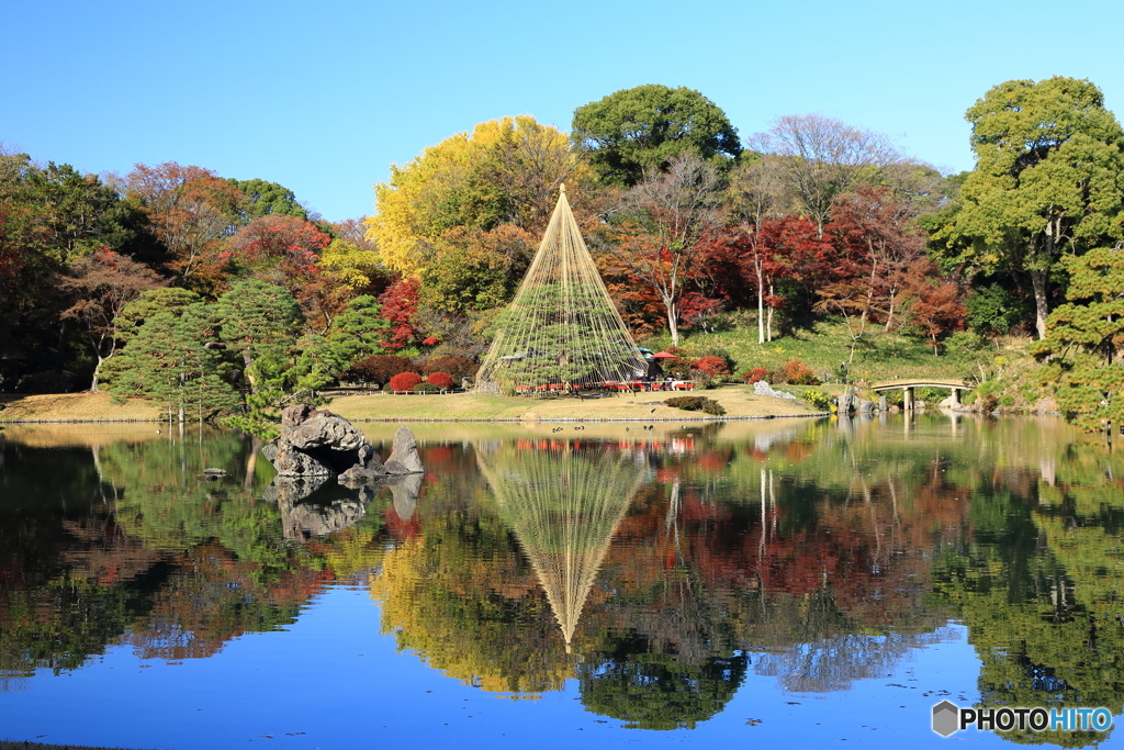 六義園その６