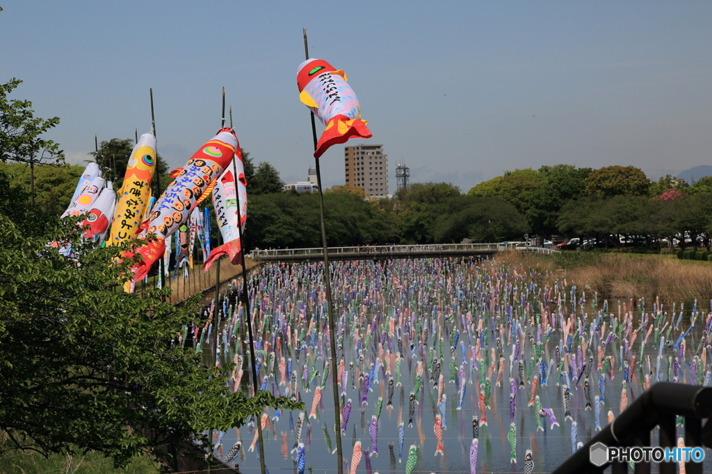 鯉のぼりのある風景