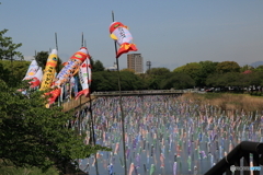 鯉のぼりのある風景