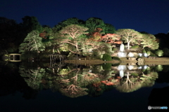 都会のオアシス