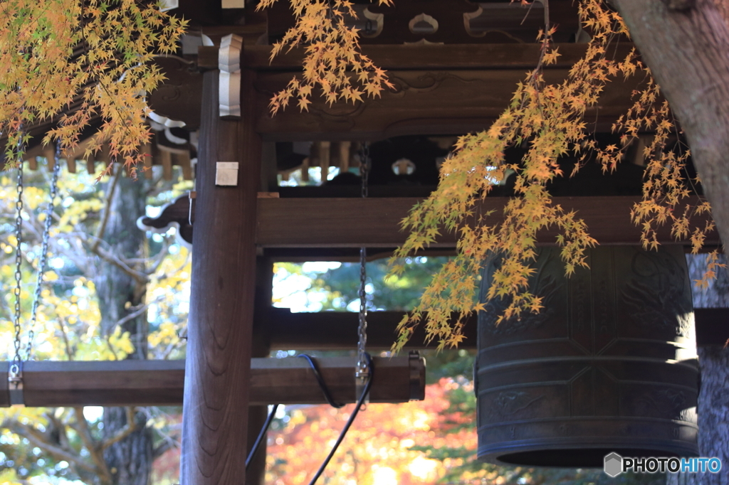 清水公園
