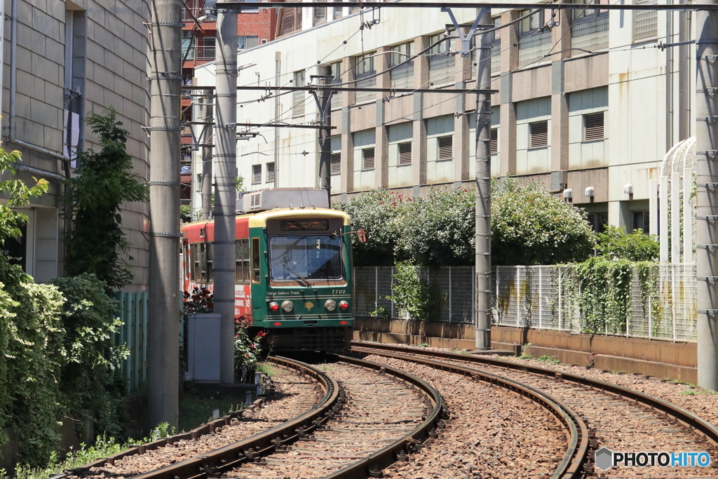東京さくらトラム（都電荒川線）