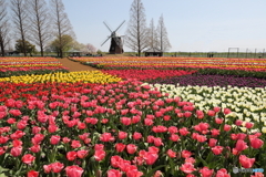 あけぼの山農業公園