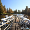 加須はなさき公園　その４