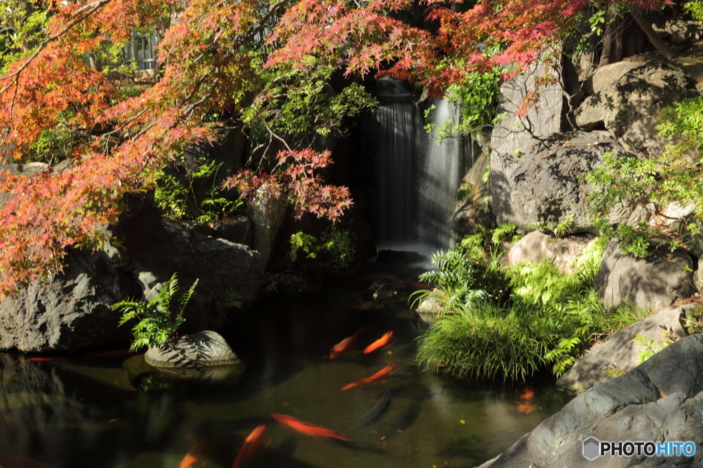 西新井大師
