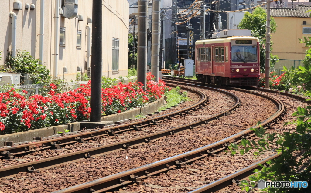 東京さくらトラム（都電荒川線）