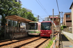 東京さくらトラム（都電荒川線）