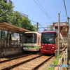 東京さくらトラム（都電荒川線）