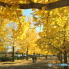 加須はなさき公園　その３