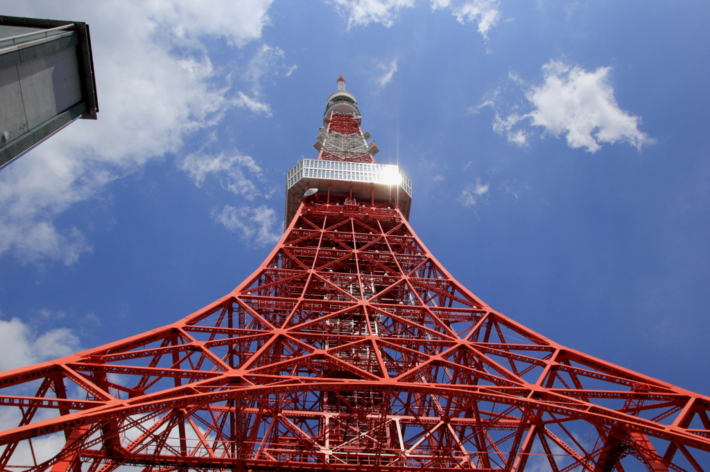 東京タワー　やはり、高い・・