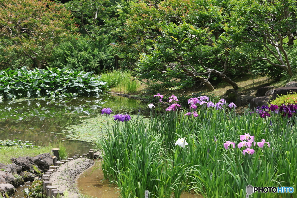 皇居　その３