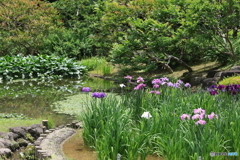 皇居　その３