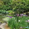 皇居　その３