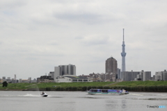 TOKYO SKYTREE