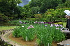 皇居　その２