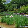 皇居　その２