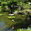 西新井大師　池