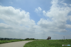 青空