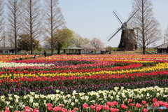 あけぼの山農業公園