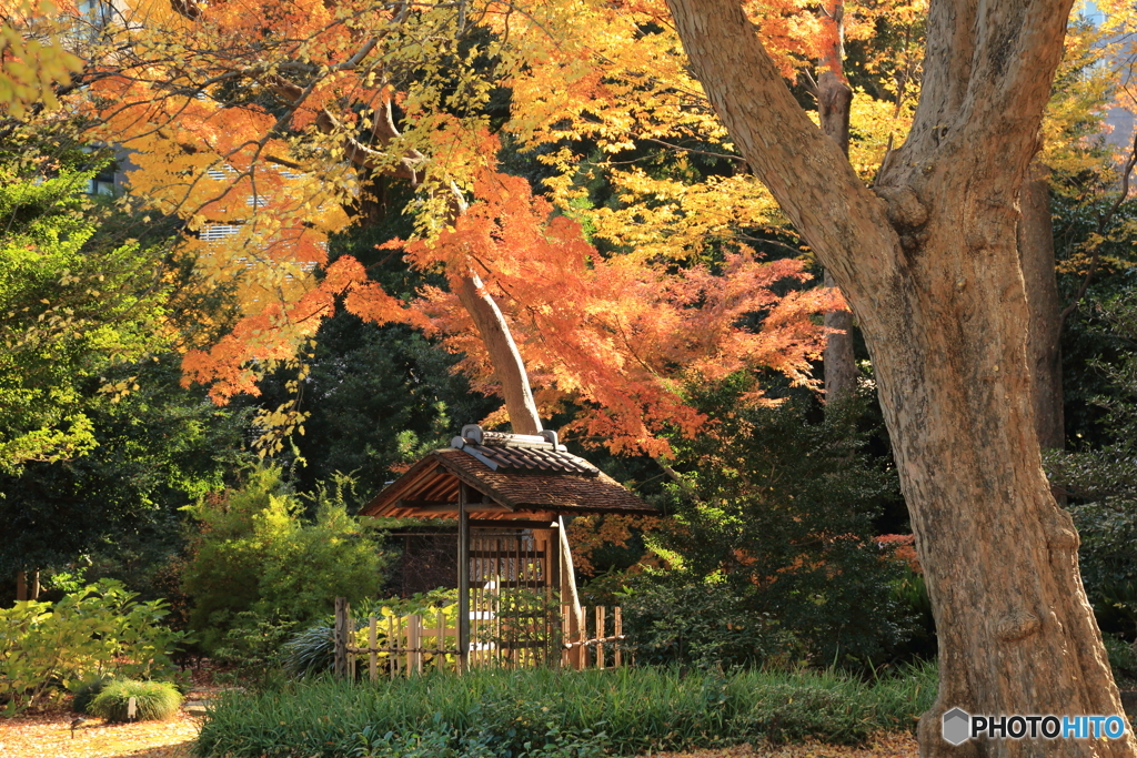 六義園