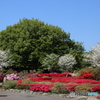 つつじが丘公園