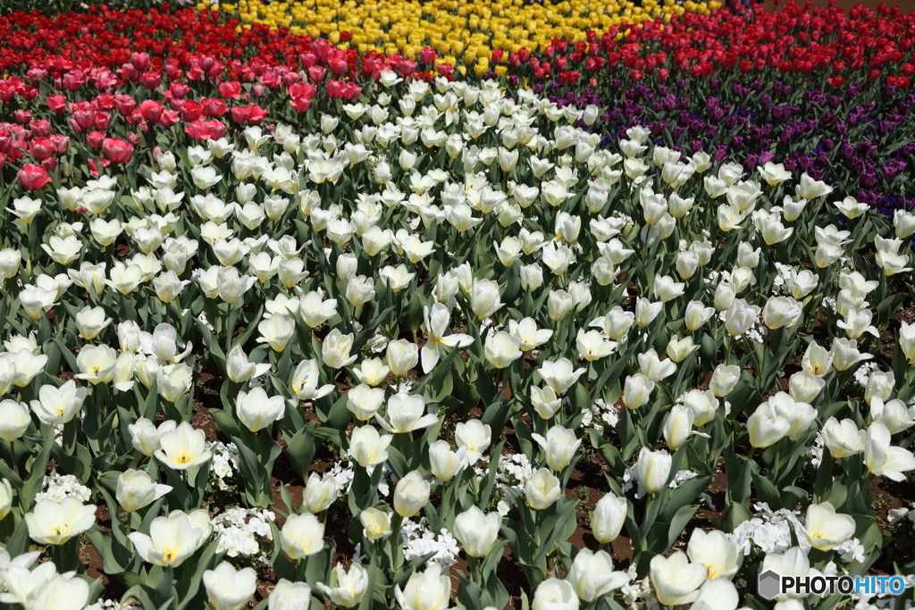 あけぼの山農業公園