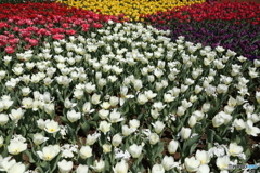 あけぼの山農業公園