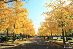 加須はなさき公園　その２