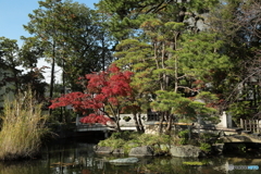 西新井大師