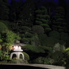 夜の日本庭園