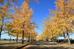 加須はなさき公園　その１