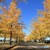加須はなさき公園　その１