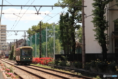 東京さくらトラム（都電荒川線）