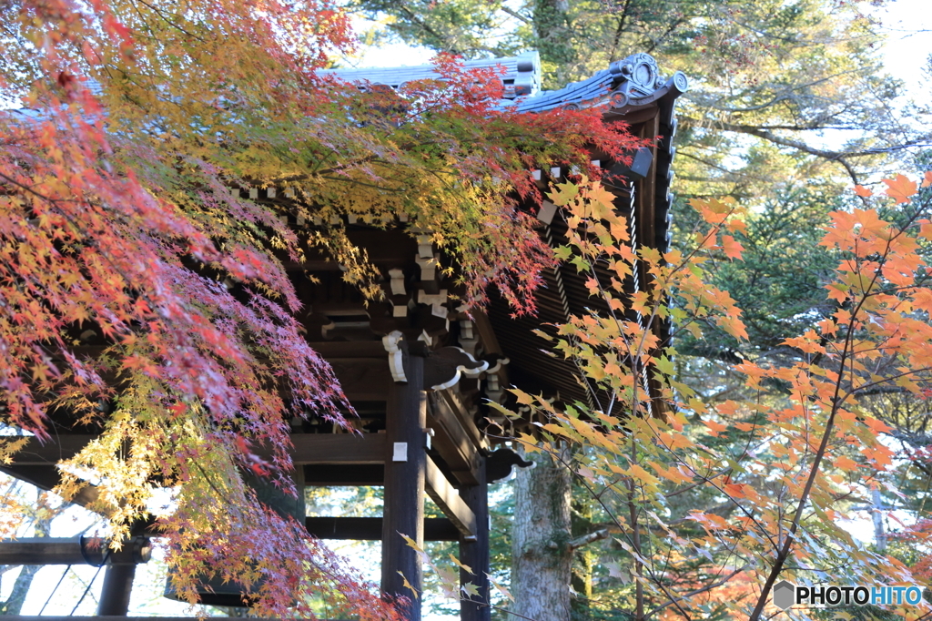 清水公園